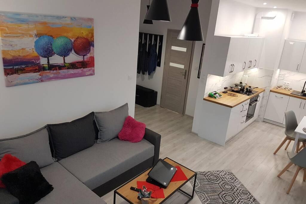 Komfortowy Nowoczesny Apartament Kustronia Z Garazem Balkonem Wanna Bielsko-Biała Exteriör bild